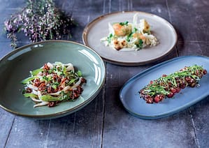 Catalogues Catalogues